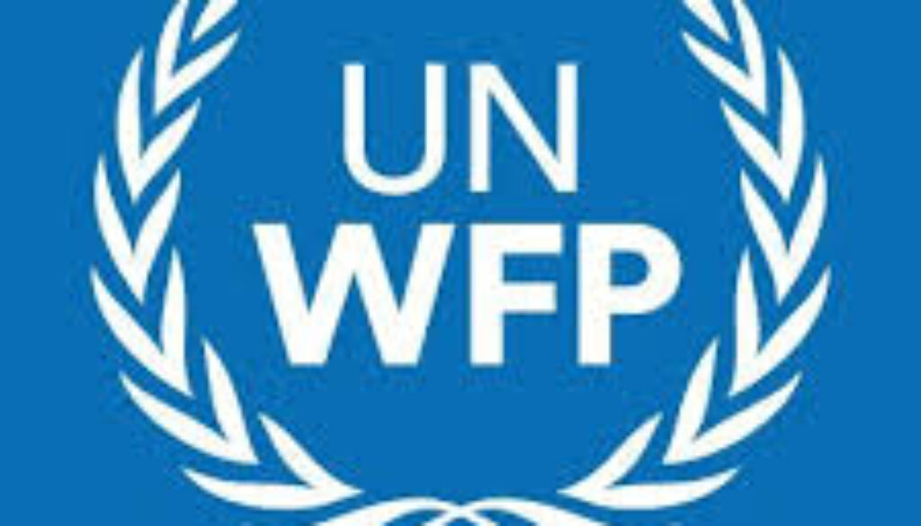 Junior Consultant (Partnerships Officer), Maputo, Mozambique- Job Ref. MZ/WFP/210404/2516