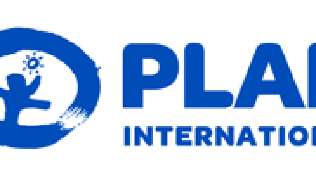 Supply Chain Coordinator, Maputo, Mozambique,Job Ref. MZ/PLAN/2911/2401