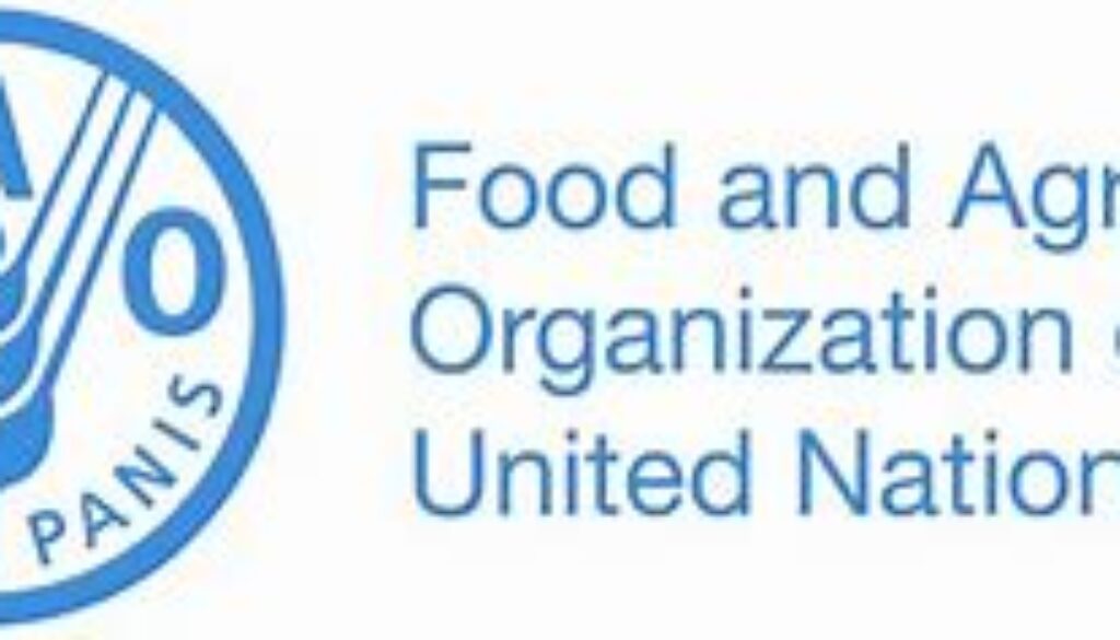 Operations and Administrative Specialist Job Ref. NG/FAO/082311